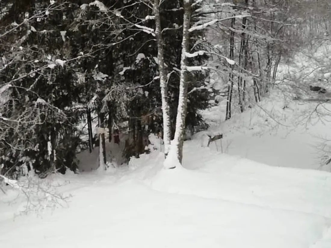 Maison de Vacances La Bresse 4