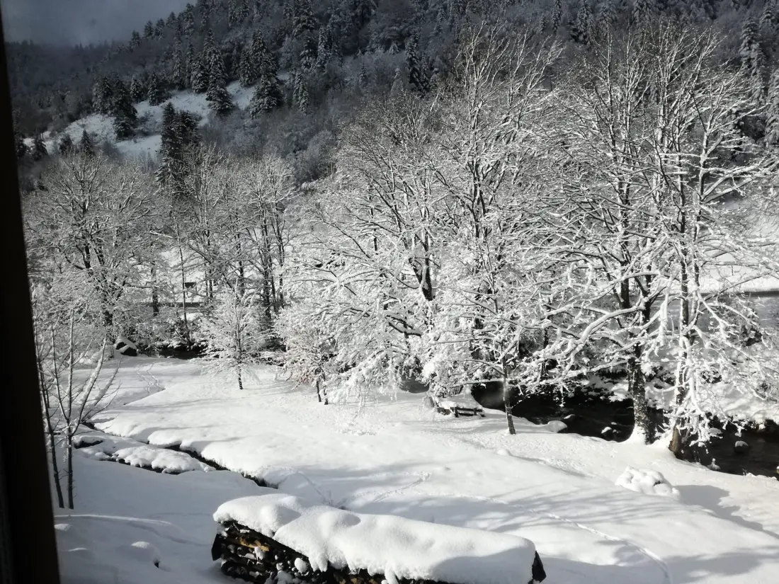 Maison de Vacances La Bresse 4