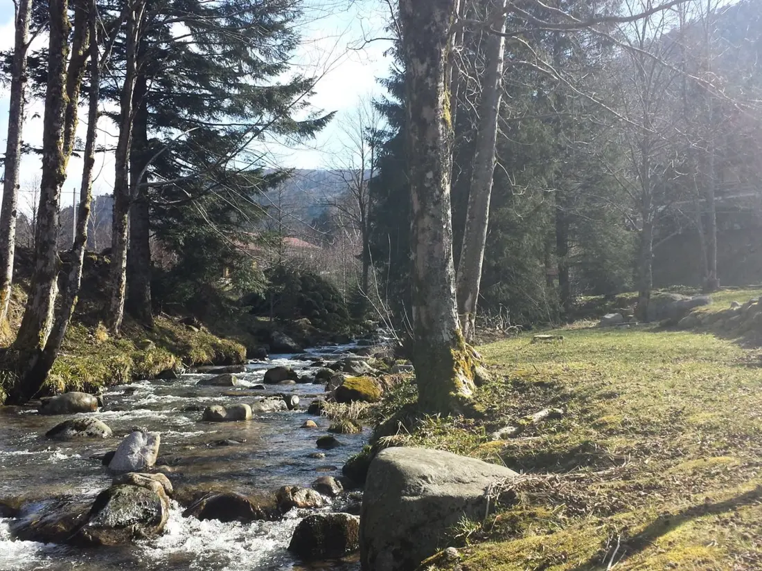 Maison de Vacances La Bresse 4