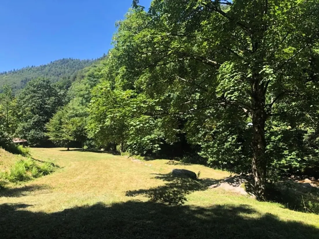 Maison de Vacances La Bresse 4