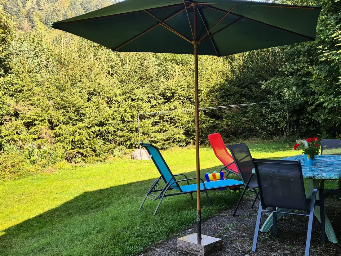 Maison de Vacances La Bresse 5