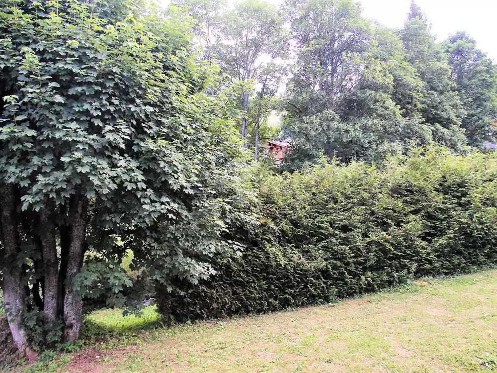 Location de Vacances La Clusaz 282