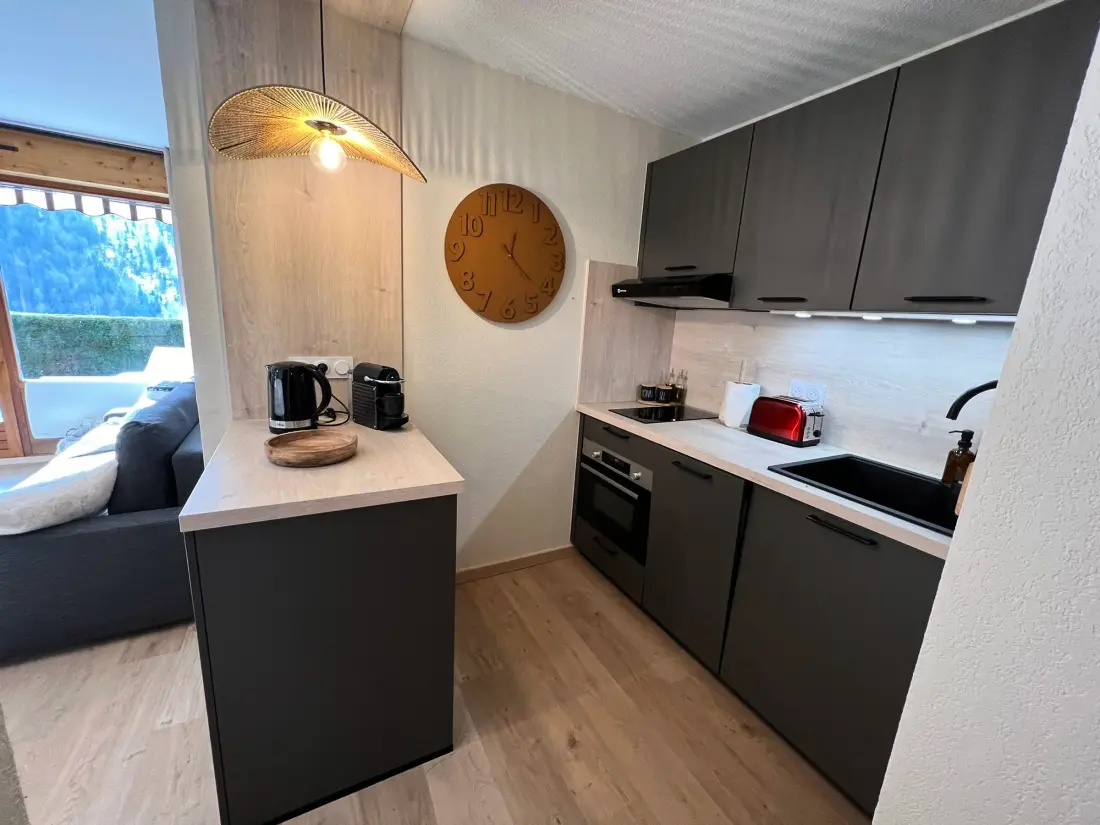 Location de Vacances La Clusaz 465