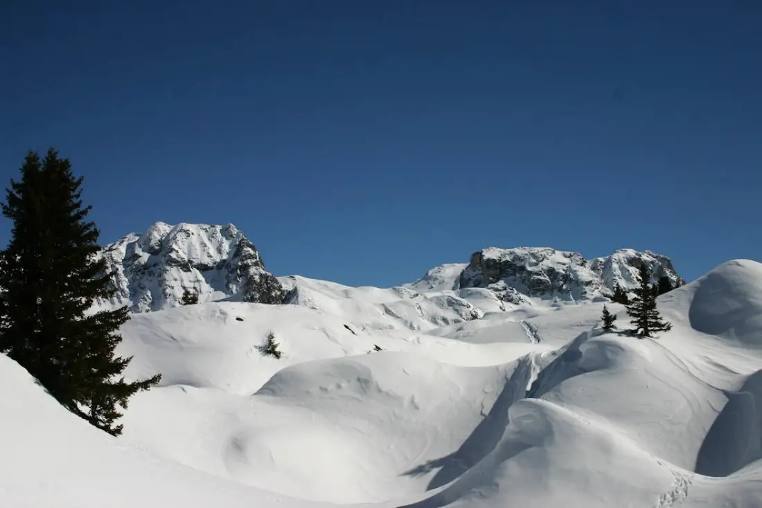 Les Chalets du Praz