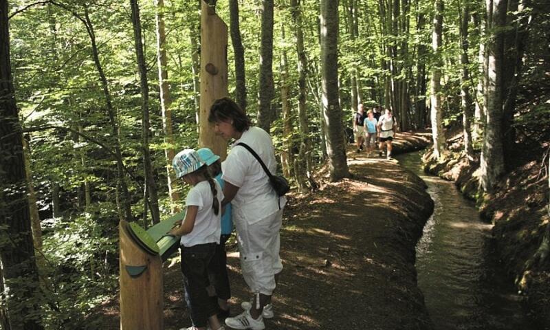 Camping Le Champ Long *** - La Salle-en-Beaumont - SKI - 34