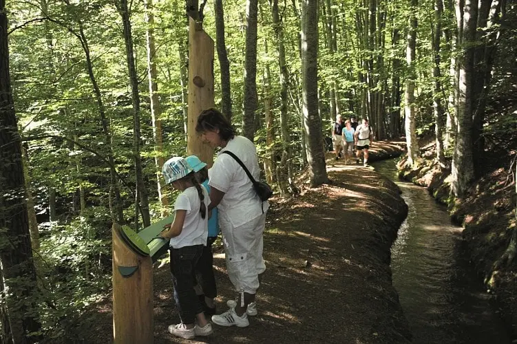 Camping Le Champ Long 3 étoiles★★★