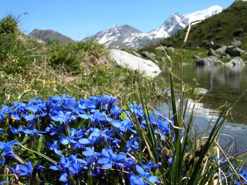 Camping Qualité l'Eden de la Vanoise 3 étoiles★★★