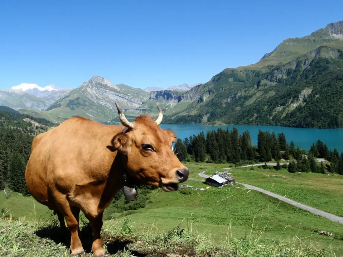 Camping Qualité l'Eden de la Vanoise 3 étoiles★★★