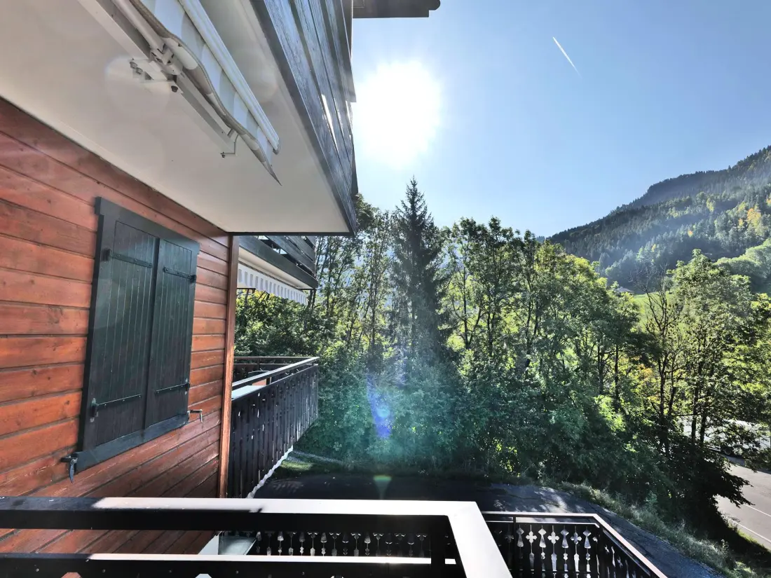 Location de Vacances Le Grand-Bornand 424