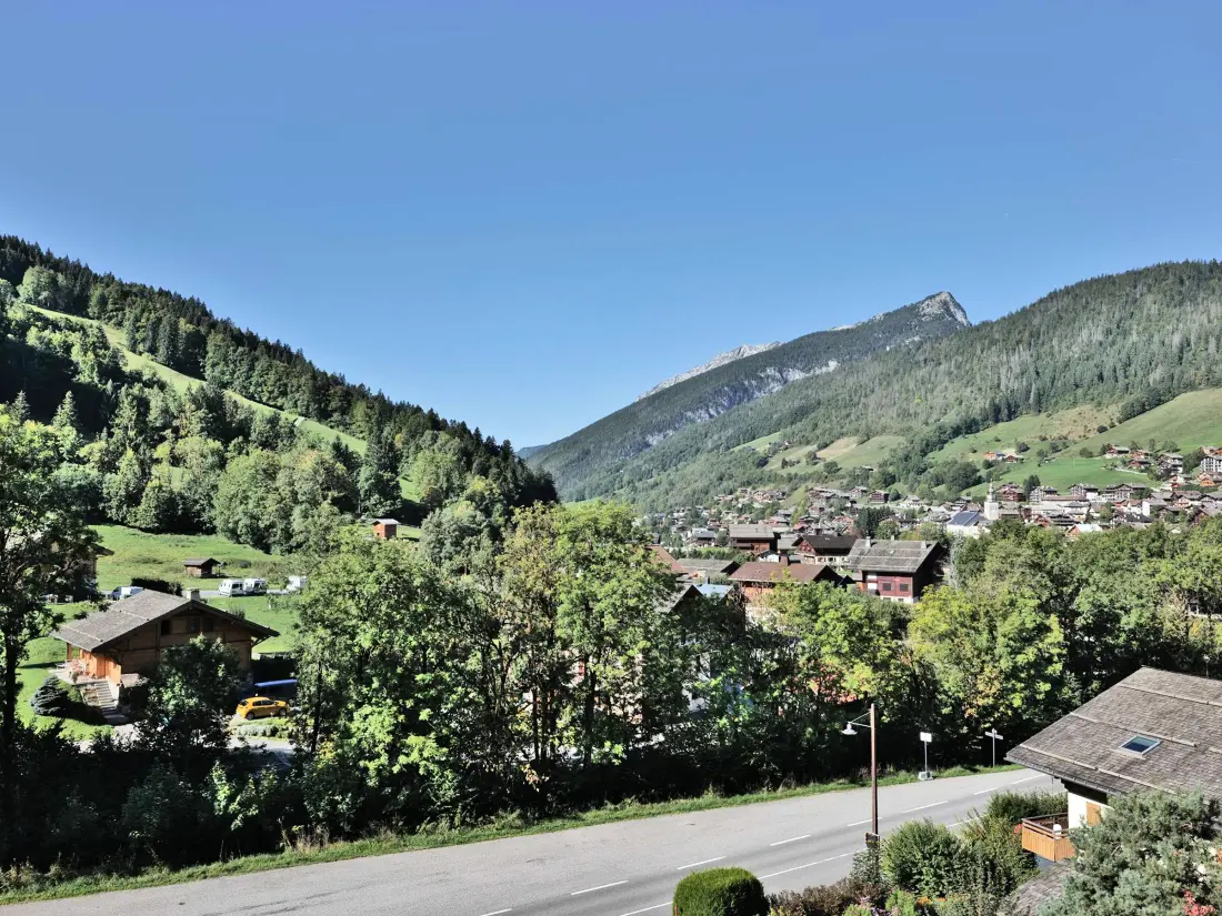 Location de Vacances Le Grand-Bornand 424