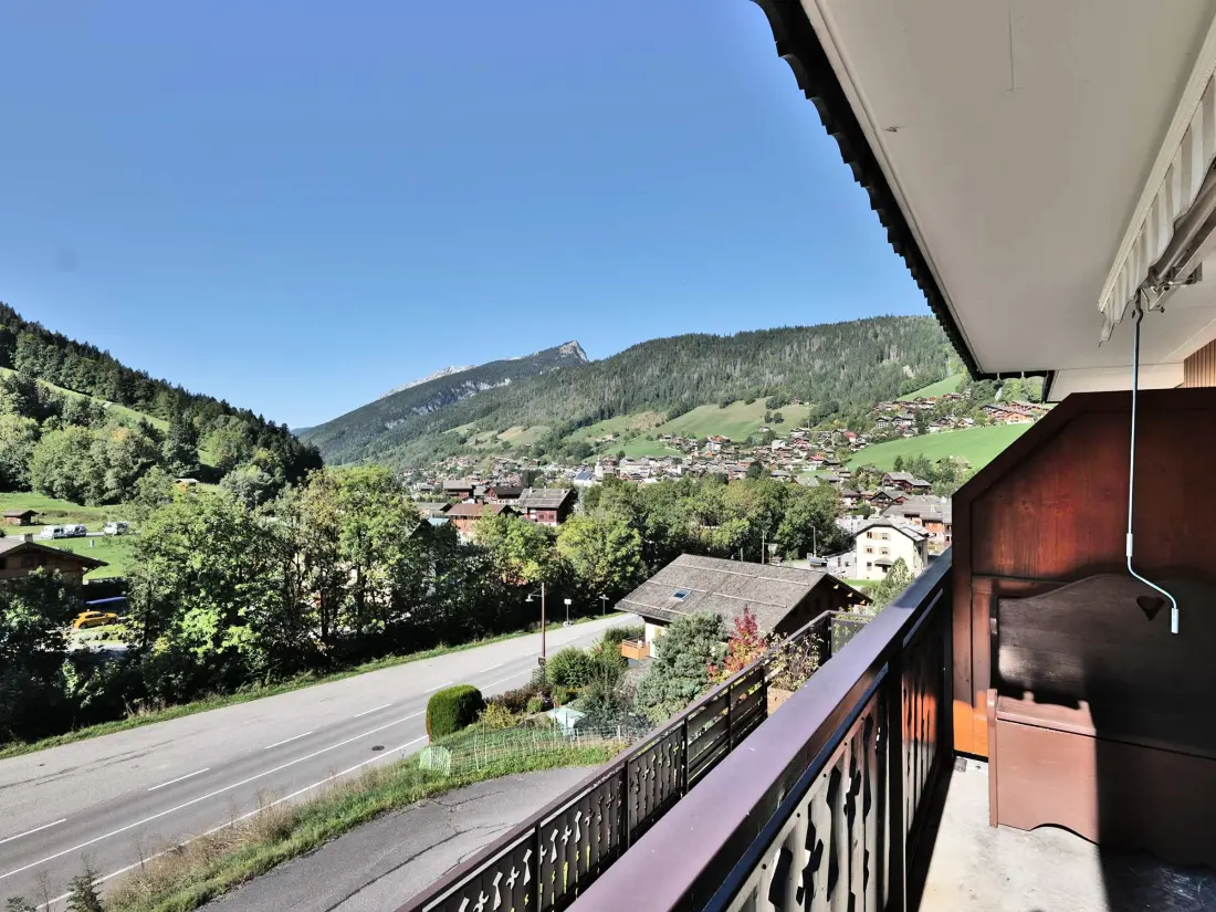 Location de Vacances Le Grand-Bornand 424