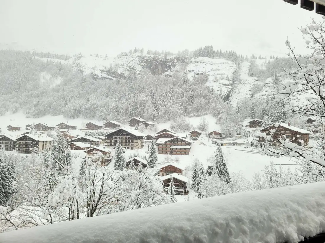 Location de Vacances Le Grand-Bornand 428
