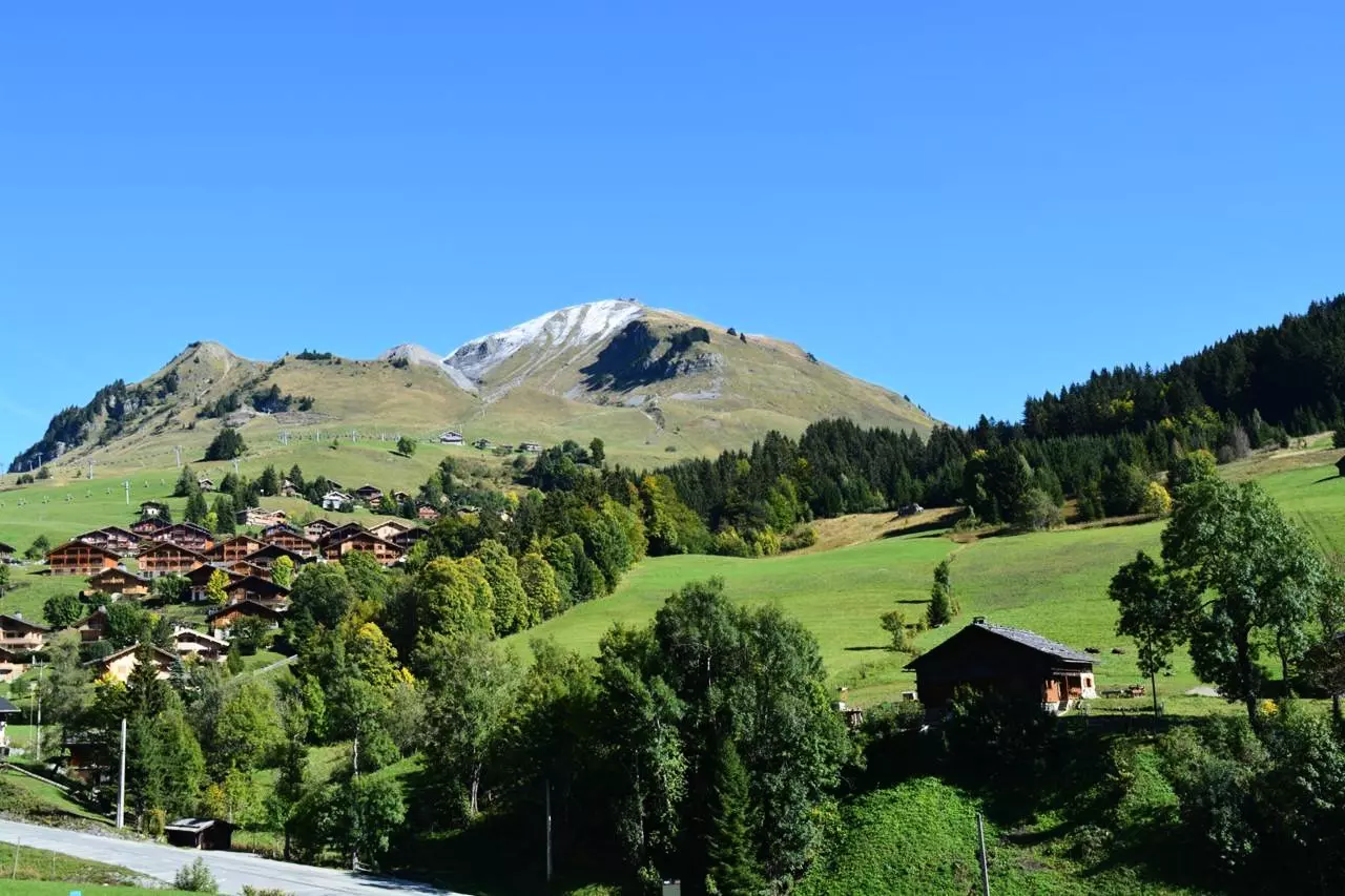 Résidence Busserolles - - Le Grand-Bornand - SKI - 1