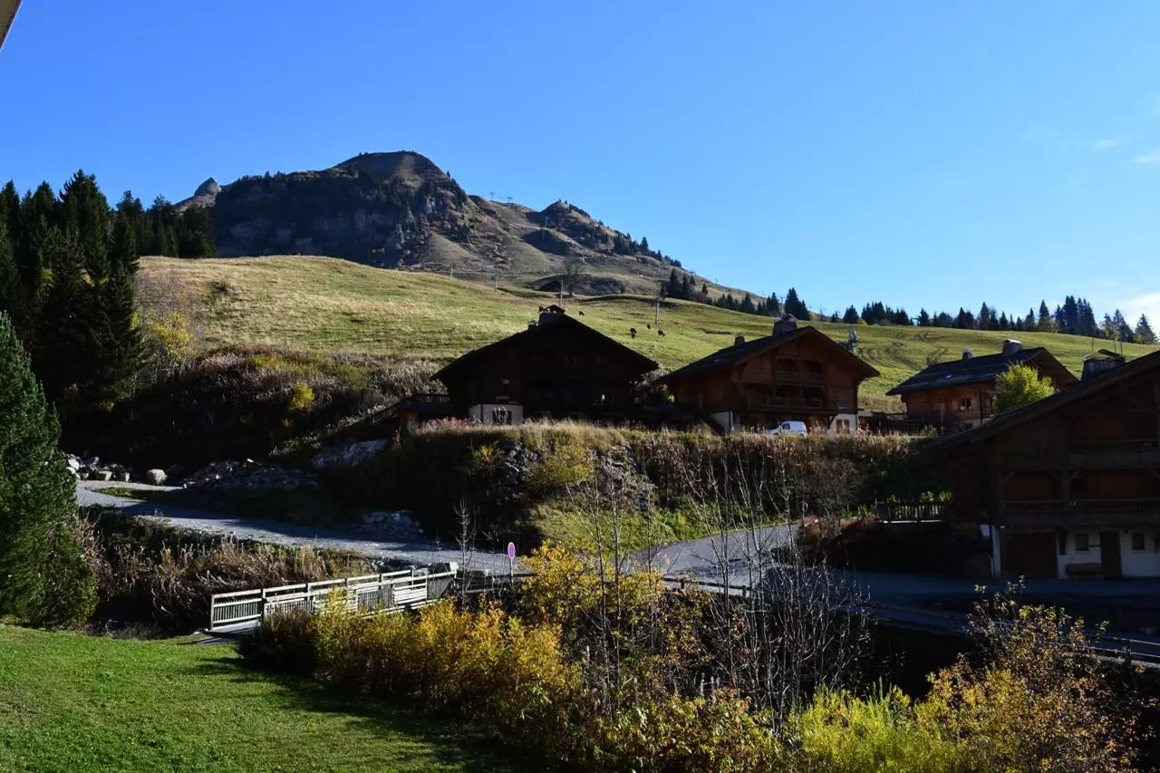 Résidence Venay 2 - - Le Grand-bornand - Ski - 1