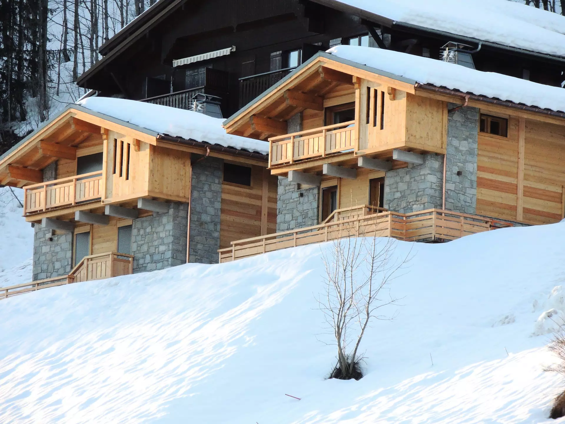 Chalets Chantemerle - - Les Gets - Ski - 1