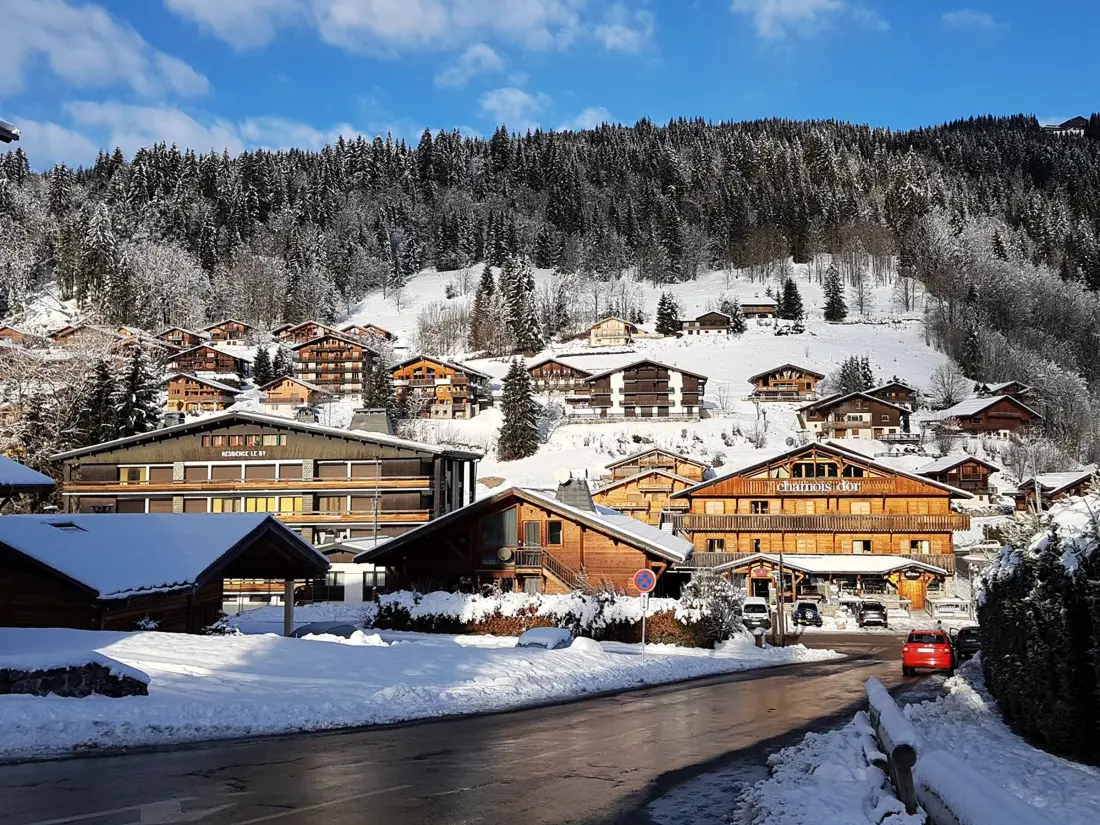 Location de Vacances Les Gets 866