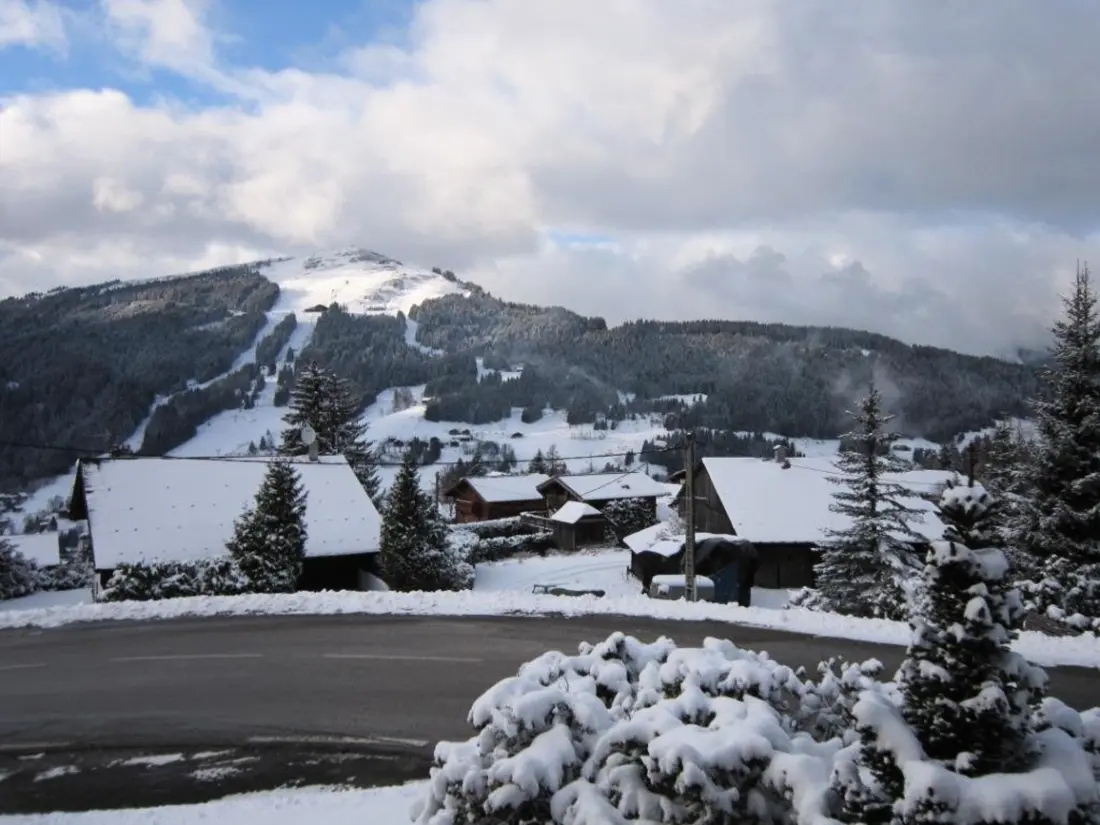 Location de Vacances Les Gets 867