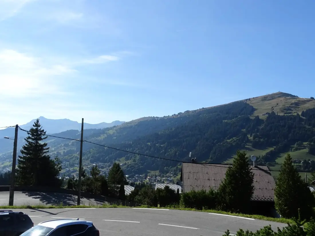 Location de Vacances Les Gets 867