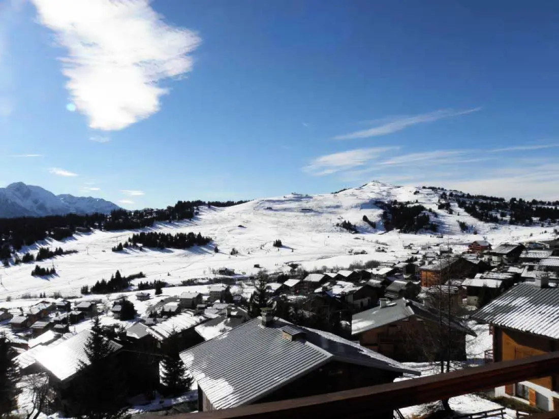 Chalet Roselend