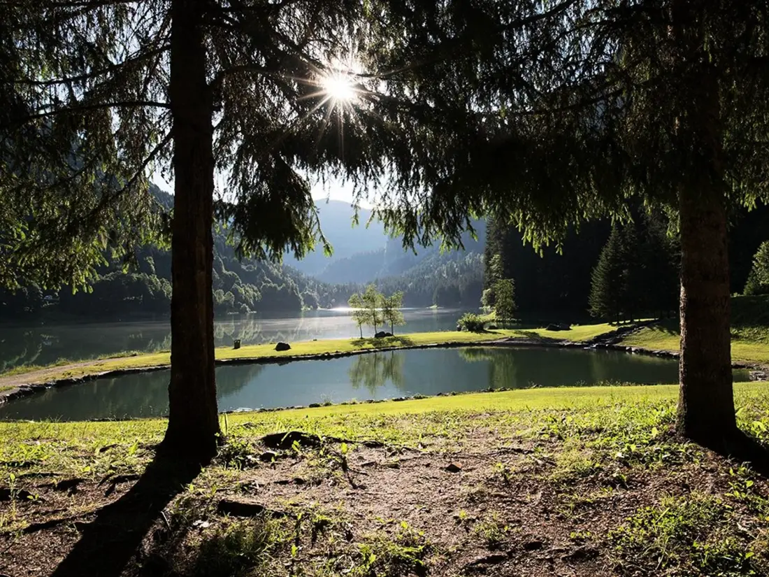 Location de Vacances MONTRIOND 12
