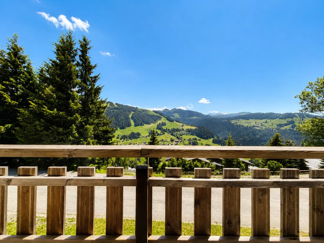 Chalet Leontine