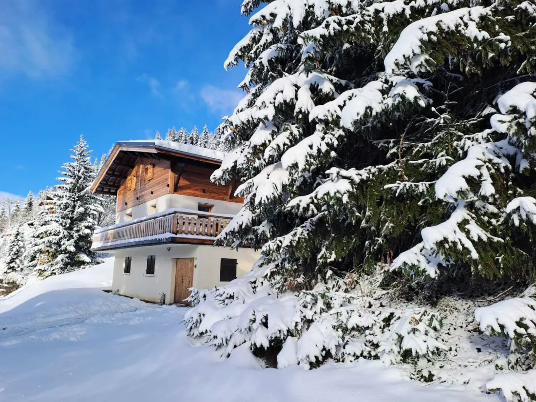 Chalet Leontine
