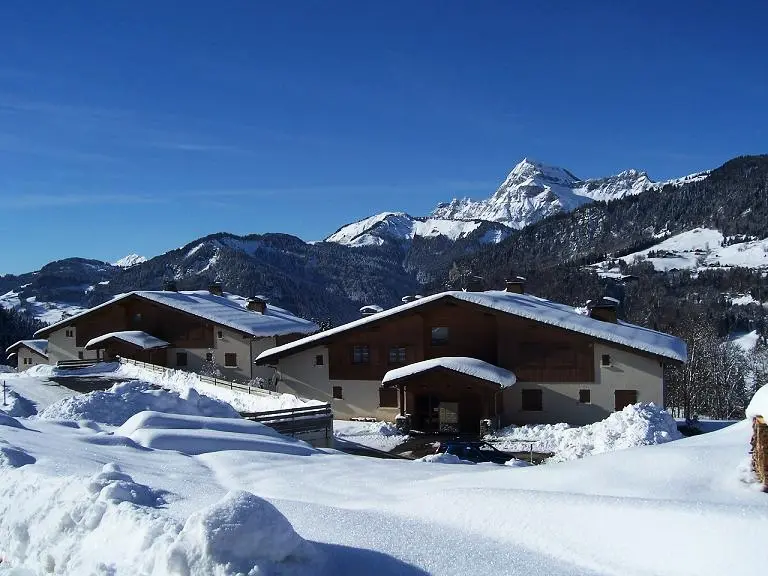 Résidence Les Aravis - - Notre-dame-de-bellecombe - Ski - 1