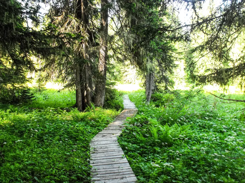 Résidence Les Balcons Du Charvin