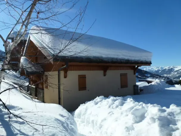 Chalet Epilobes - - Peisey-vallandry - Ski - 1