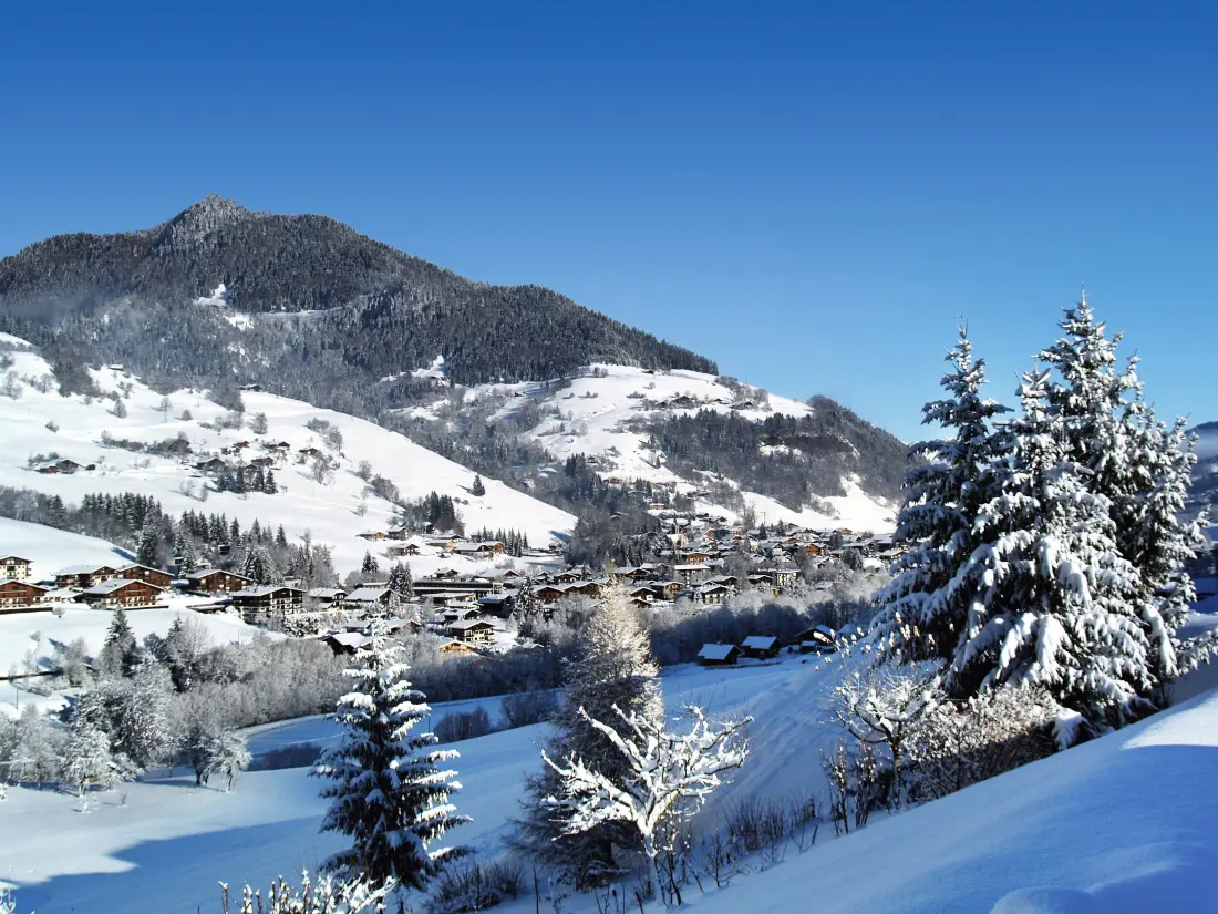 Belambra Clubs Praz-sur-Arly - L'Alisier - Demi-pension