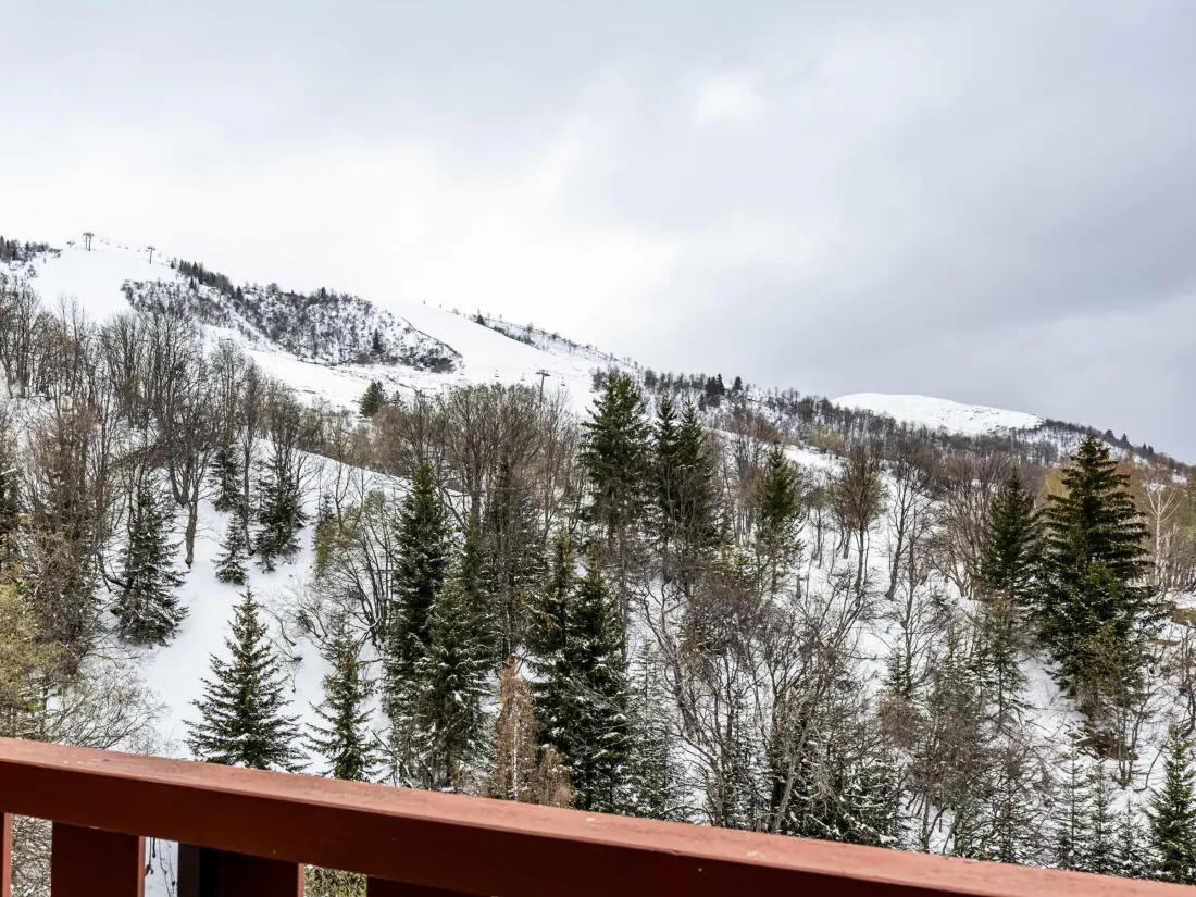 Location de Vacances Saint-François-Longchamp 220