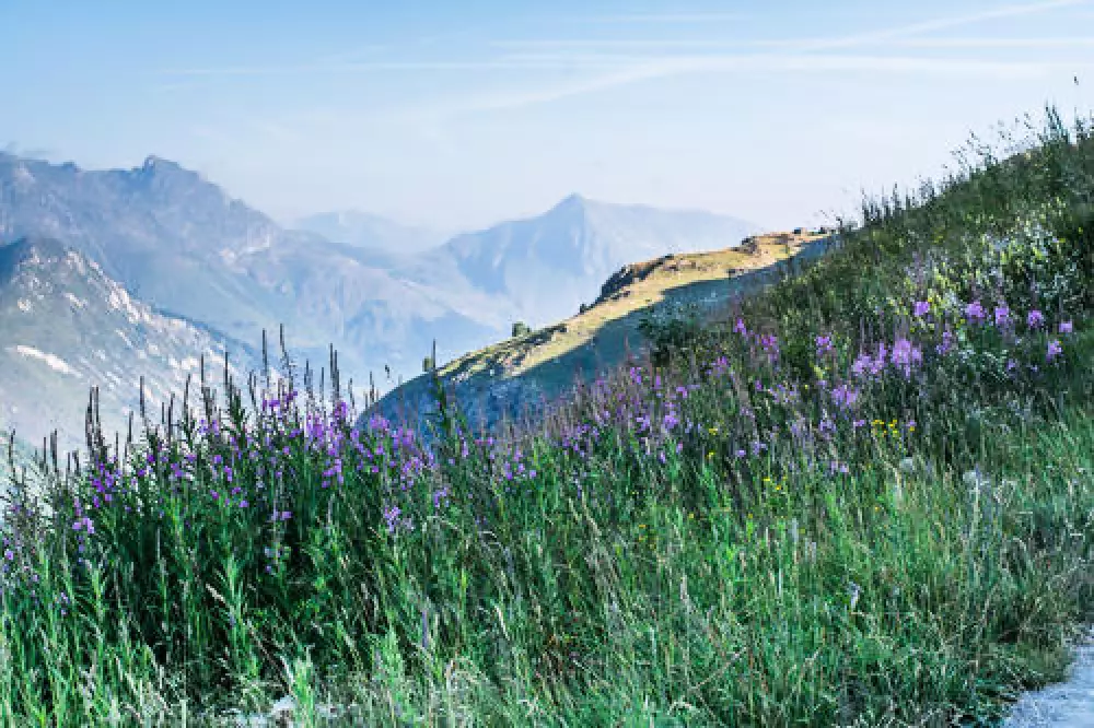 Résidence Le Bettex