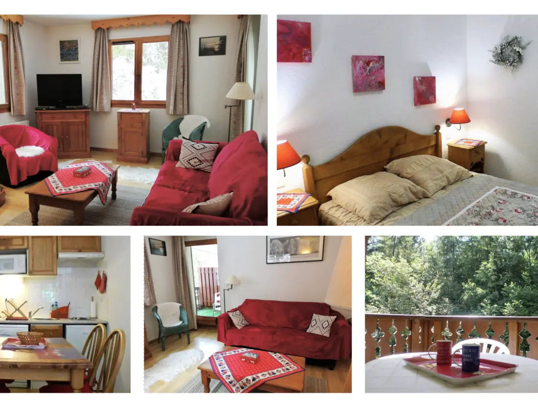 Location de Vacances Samoëns 226