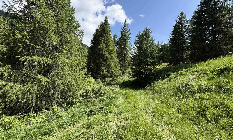 Chalet Le Regain - - Vars - SKI - 4