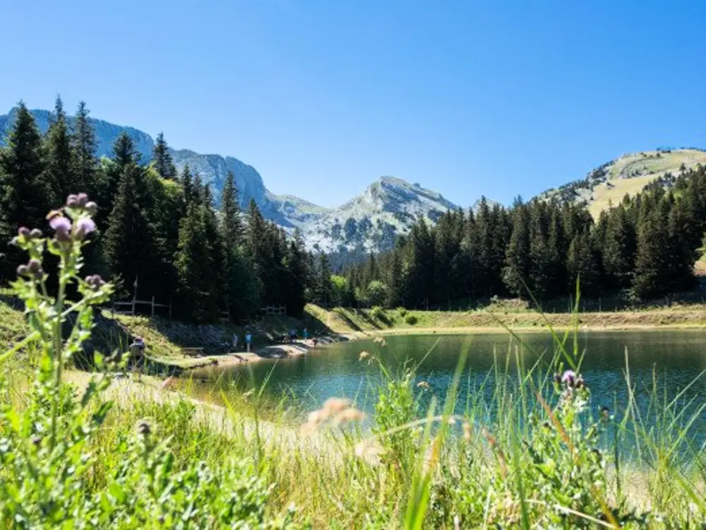 Location de Vacances Villard-de-Lans 151