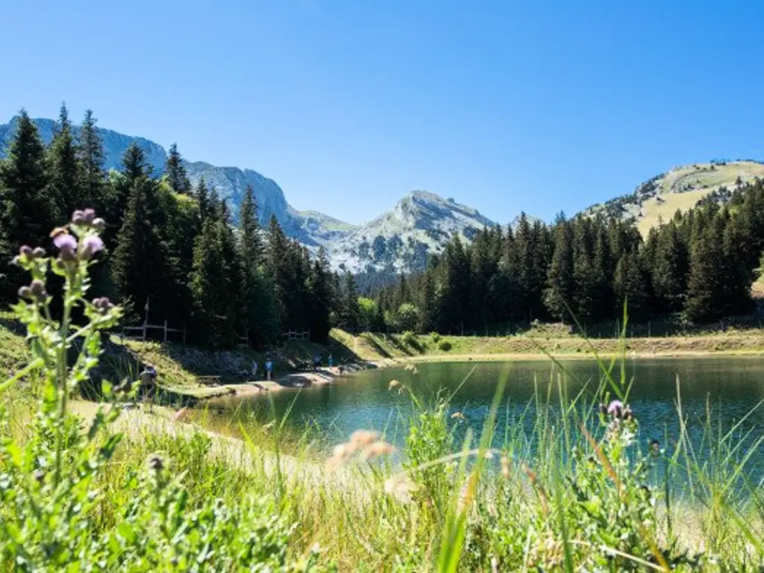 Location de Vacances Villard-de-Lans 151