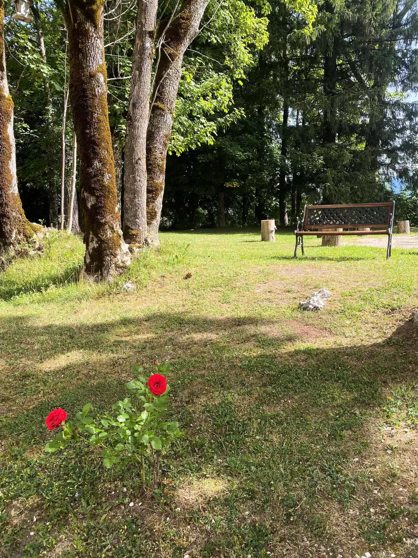 Résidence Le Diamant - Villard-de-Lans - SKI - 6