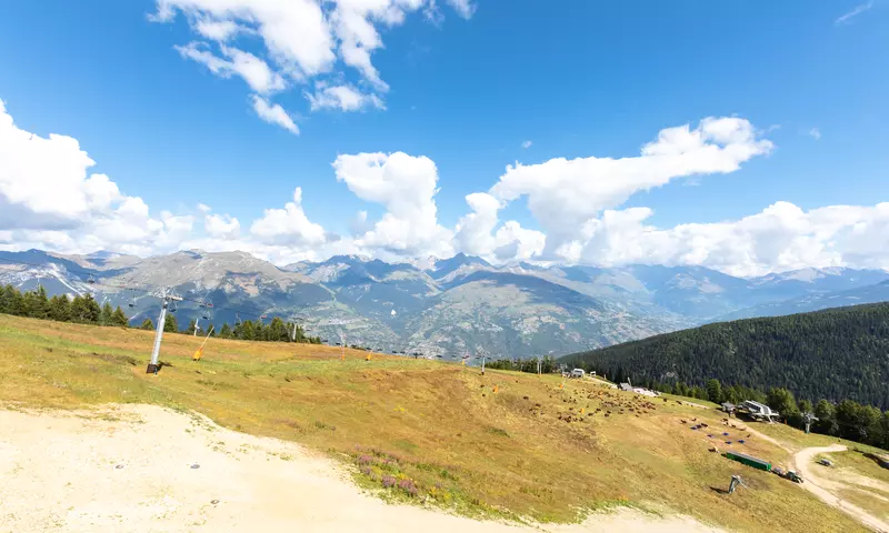 Résidence Les Hauts Bois - maeva Home - La Plagne - Plagne Aime 2000 - SKI - 80