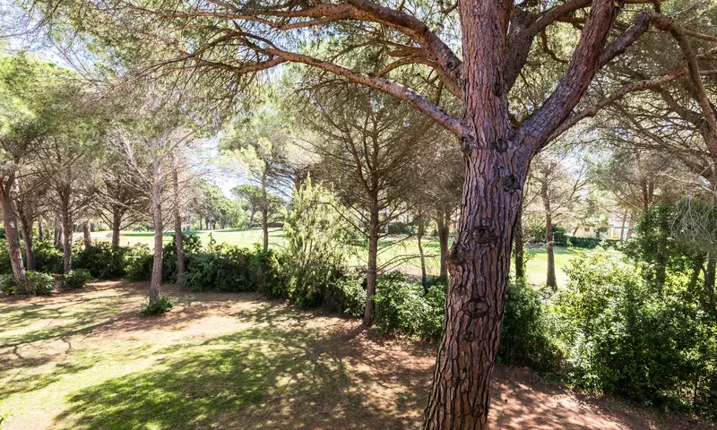 Saint-Raphaël Valescure - maeva Home - Saint-Raphaël - 399